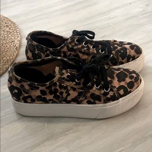 Steve Madden Cheetah Platform Sneakers